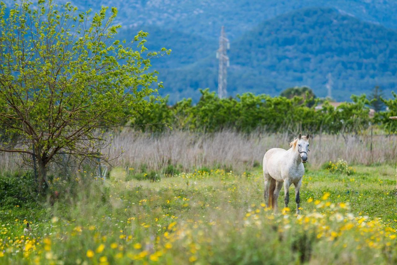 Вилла Traumhafte Finca Son Senyor - Mit Pferdekoppel Са-Побла Экстерьер фото